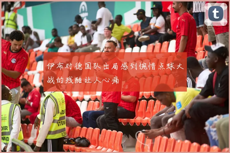 伊布对德国队出局感到惋惜点球大战的残酷让人心痛